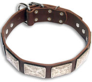 Custom Mastiff Brown dog collar collar - C83