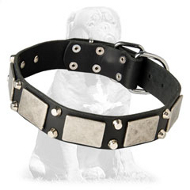 Mastiff Leather Collar with Nickel Plates and Two Pyramids