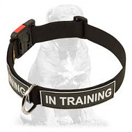 Extra strong nylon collar with patches