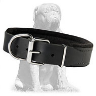 Premium quality padded leather collar Premium quality padded leather collar