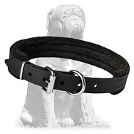 Extra strong training Mastiff collar Extra strong training Mastiff collar