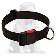 Everyday walking nylon Mastiff collar Everyday walking nylon Mastiff collar
