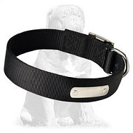 Trendy Mastiff collar with ID-tag Trendy Mastiff collar with ID-tag