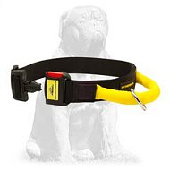 Extra strong nylon Mastiff collar with handle Extra strong nylon Mastiff collar with handle