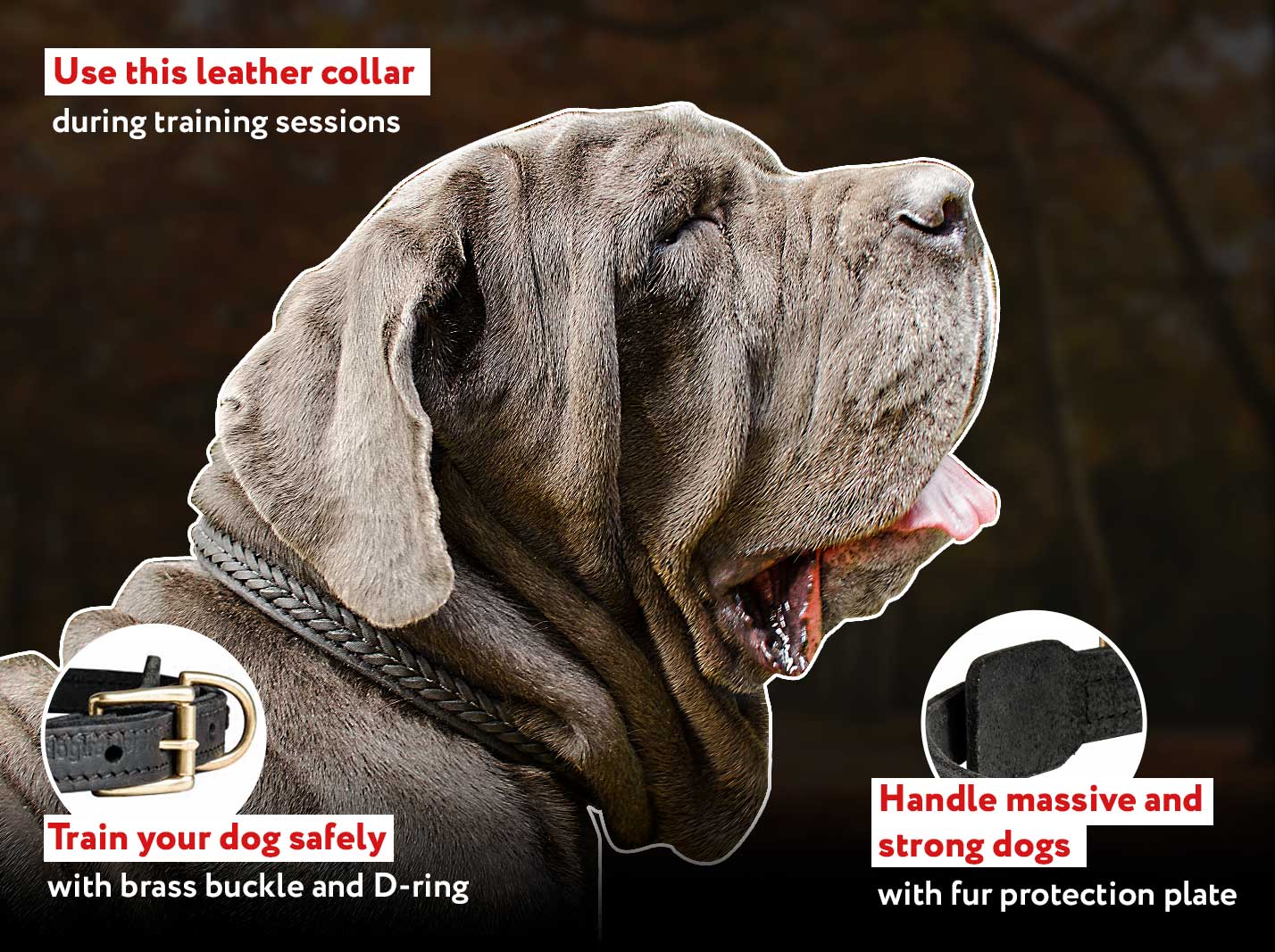 Inimitable braided leather Mastiff collar Inimitable braided leather Mastiff collar