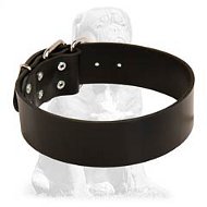 Extra Wide Leather Collar for Mastiff Extra Wide Leather Collar for Mastiff