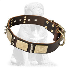 Mastiff leather collar with plates & spikes