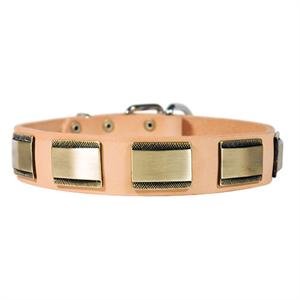 Designer Mastiff Collar with Plates Designer Mastiff Collar with Plates