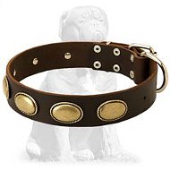 Gorgeous vintage Mastiff leather collar Gorgeous vintage Mastiff leather collar