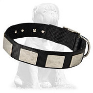 Vintage Mastiff collar with plates Vintage Mastiff collar with plates