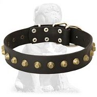 Mastiff Gorgeous Wide Leather Dog Collar With Brass Pyramids Mastiff Gorgeous Wide Leather Dog Collar With Brass Pyramids