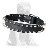 Mastiff Spiked Leather Dog Collar