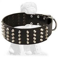 Studded Leather Mastiff Collar