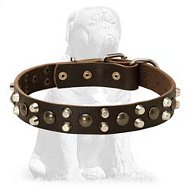 Gorgeous Mastiff Leather Collar With Silver Pyramids and Brass Studs