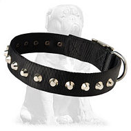 Wide nylon collar with nickel pyramids