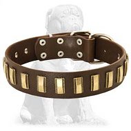 Chic Leather Mastiff Collar with Brass Plates