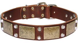 Mastiff Leather Collar with Studs and Vintage Plates Mastiff Leather Collar with Studs and Vintage Plates