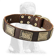Gorgeous leather Mastiff collar with massive plates Gorgeous leather Mastiff collar with massive plates