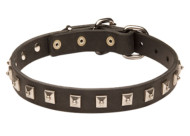 Rich Mastiff Leather Collar with Studs