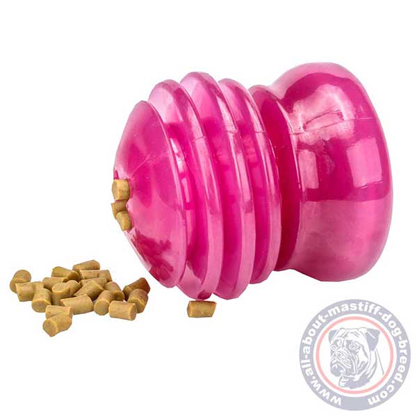 Long-lasting dog chewing toy