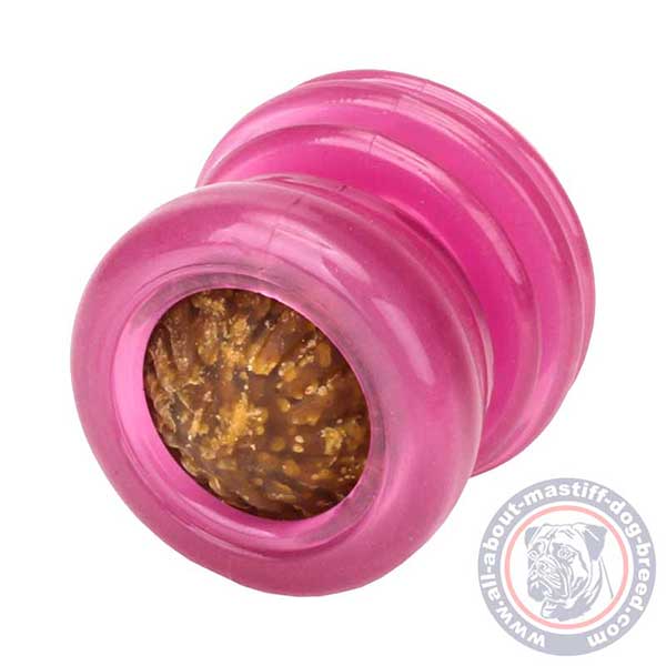 Long-lasting dog chewing toy for treats