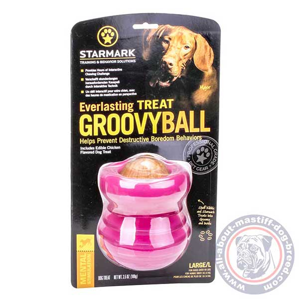 Chewing dog toy safe for long use