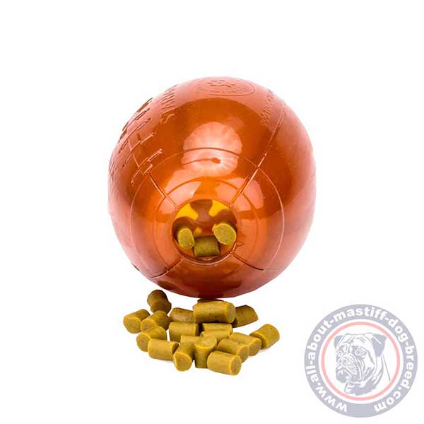 Durable dog treats and kibble ball