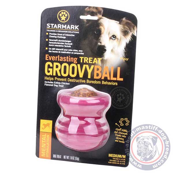 Durable dog food dispenser