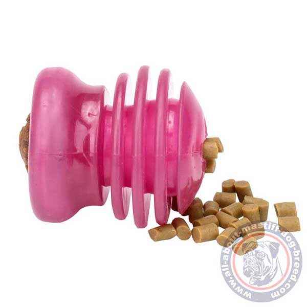 Chewing dog toy for treats