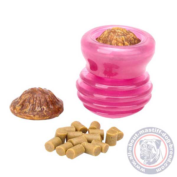 Entertaining dog food holder
