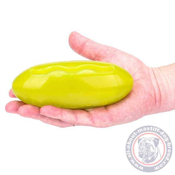 Resistant dog treat dispenser