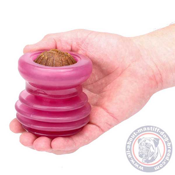 Funny dog food holder of pink color