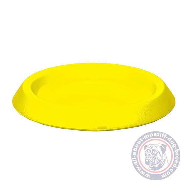 Water-floating dog disc