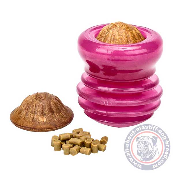 Useful for dental hygiene food dispenser