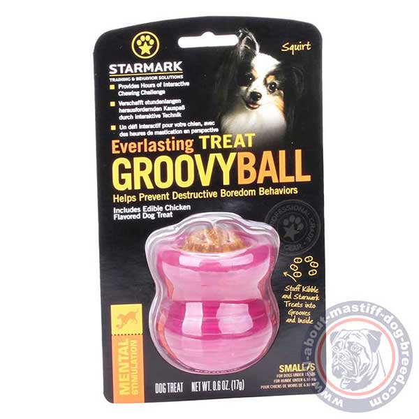 Durable dog chewing toy