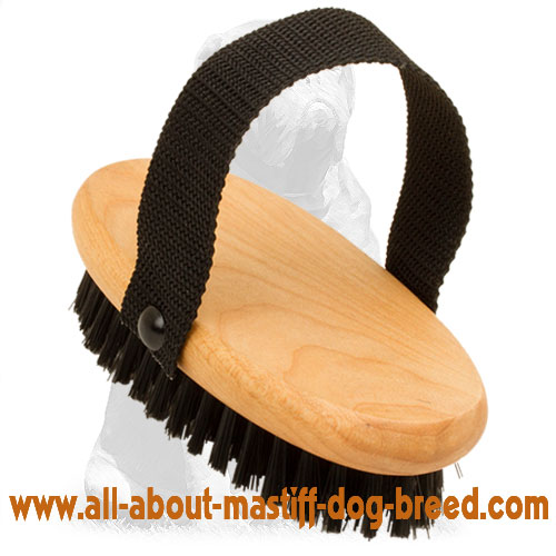 Wooden dog brush for grooming