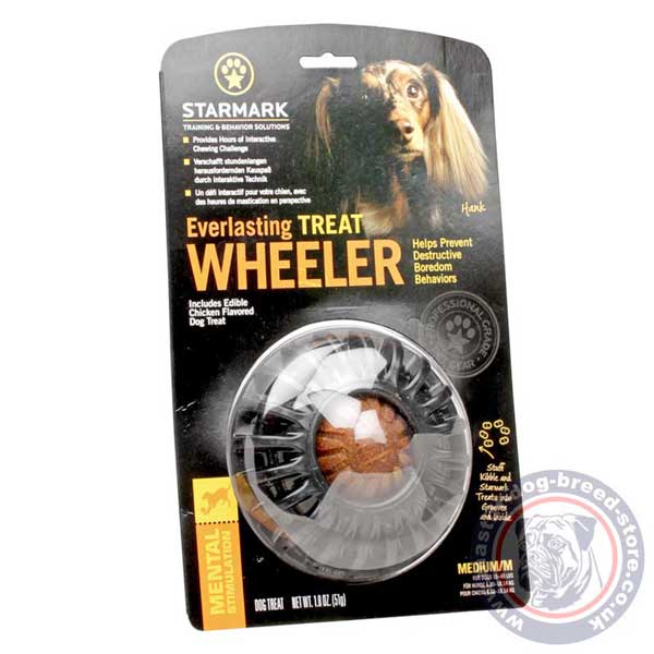 Lightweight rubber dog treat dispenser