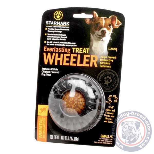 Lightweight rubber dog treat dispenser