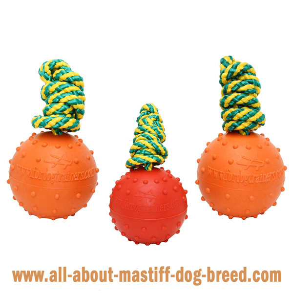 Mastiff Dog Water Balls of 2 Sizes and in Different  Colors