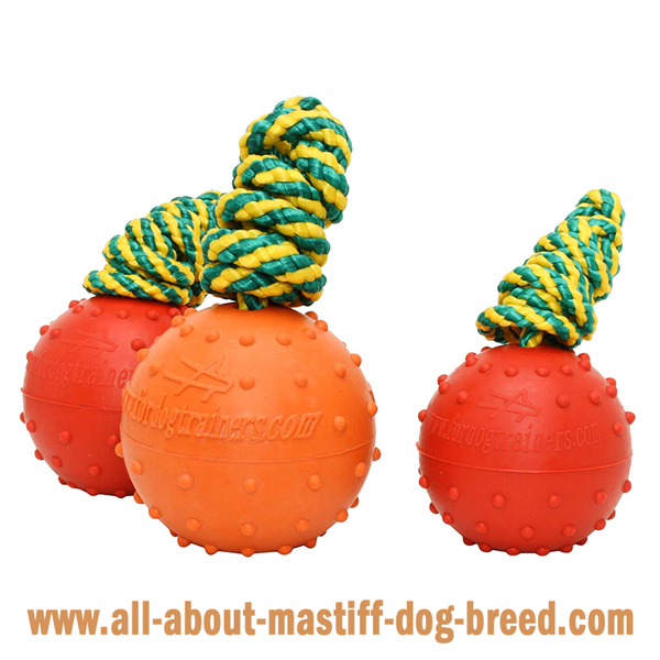 Mastiff Dog Water Balls of 2 Sizes and in Different  Colors