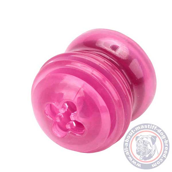 Perfect for dental hygiene dog food dispenser