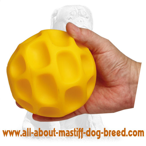 Tear-proof food dispenser made of tetraflex Tear-proof food dispenser made of tetraflex