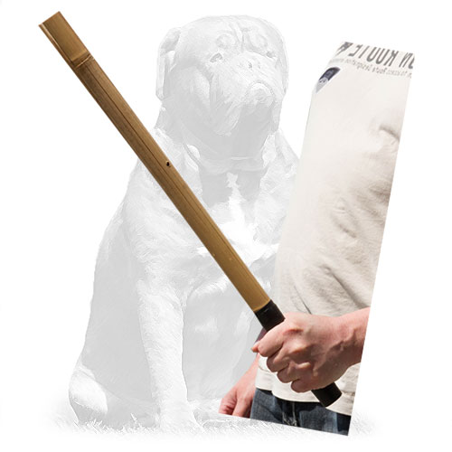  Reliable agitation training dog stick