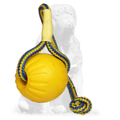Entertaining foam dog ball with a rope Easy to hold foam dog ball with a string