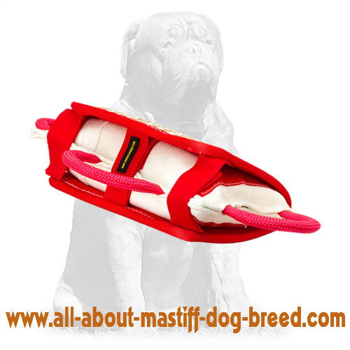Strong biting pad for dog training with handles
