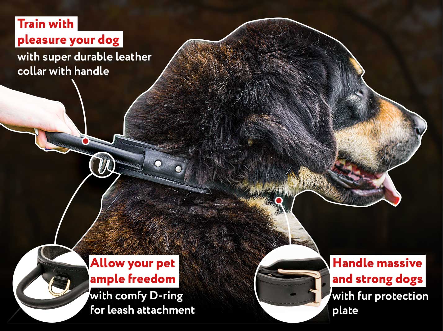 Sturdy Agitation/Protection Leather Dog Harness