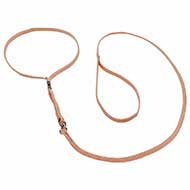 Mastiff Nylon Dog Show Collar & Leash Combo