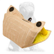 Mastiff bite developer for safe and effective training