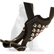 Mastiff Studded Dog Harness for Active Puppies