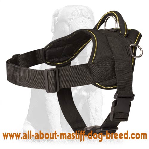 Pyrenean Mastiff Nylon Harness - Nylon with Strong Handle